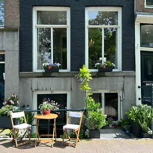 Singel Niederlande